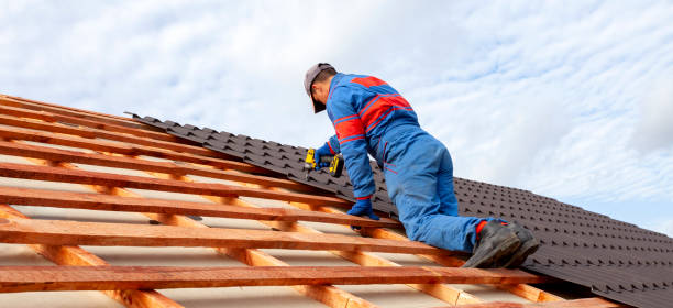 Best Roof Ventilation Installation  in Brighton, TN